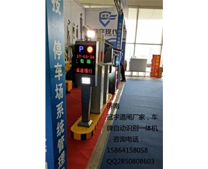 淄博胶州自动识别车牌系统，胶南智能车牌号系统生产商